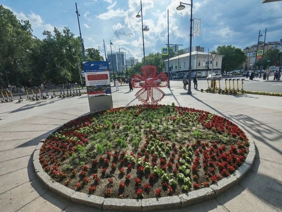 Цветы в городе — не просто украшение Цветы в городе — не просто украшение