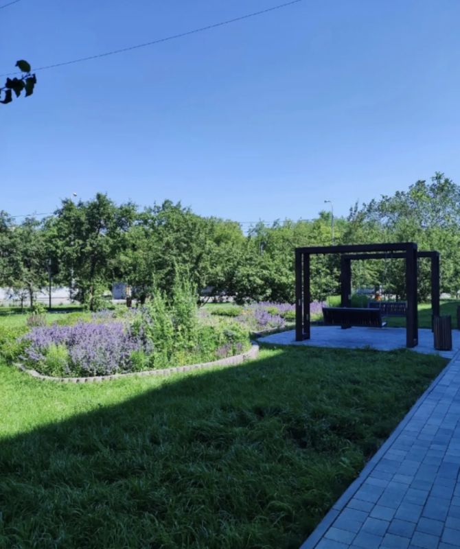 Цветы в городе — не просто украшение Цветы в городе — не просто украшение