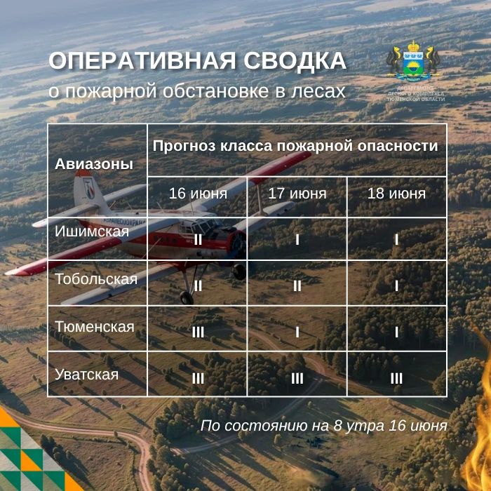 По данным региональной диспетчерской службы, на утро 16 июня в Тюменской области нет действующих лесных пожаров