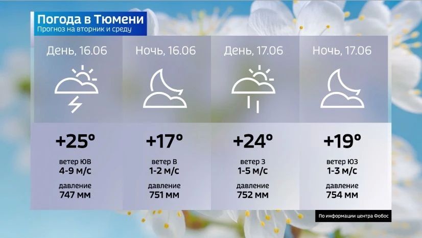 16 июня Тюмень окажется на пути активных атмосферных фронтов западного циклона, сюда придёт очередная волна ливней и гроз
