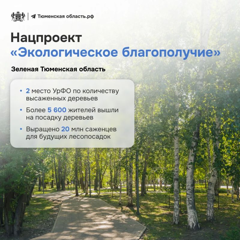 Как понять, что национальные проекты работают? Просто посмотреть вокруг Как понять, что национальные проекты работают? Просто посмотреть вокруг