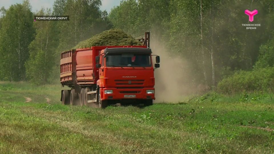 В Тюменском округе успешно завершили посевную кампанию В Тюменском округе успешно завершили посевную кампанию
