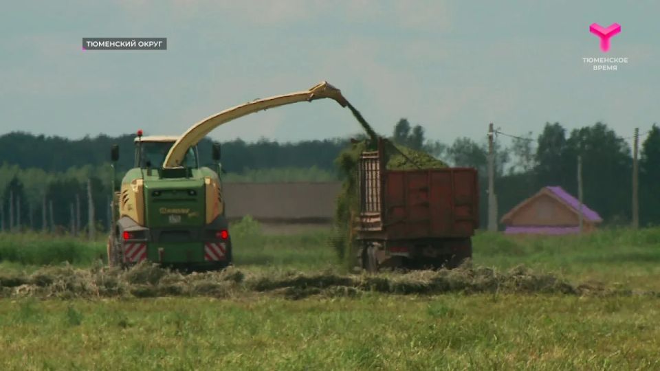 В Тюменском округе успешно завершили посевную кампанию В Тюменском округе успешно завершили посевную кампанию