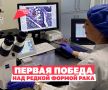 ��������� ������� ������ �������� �� �������� �������