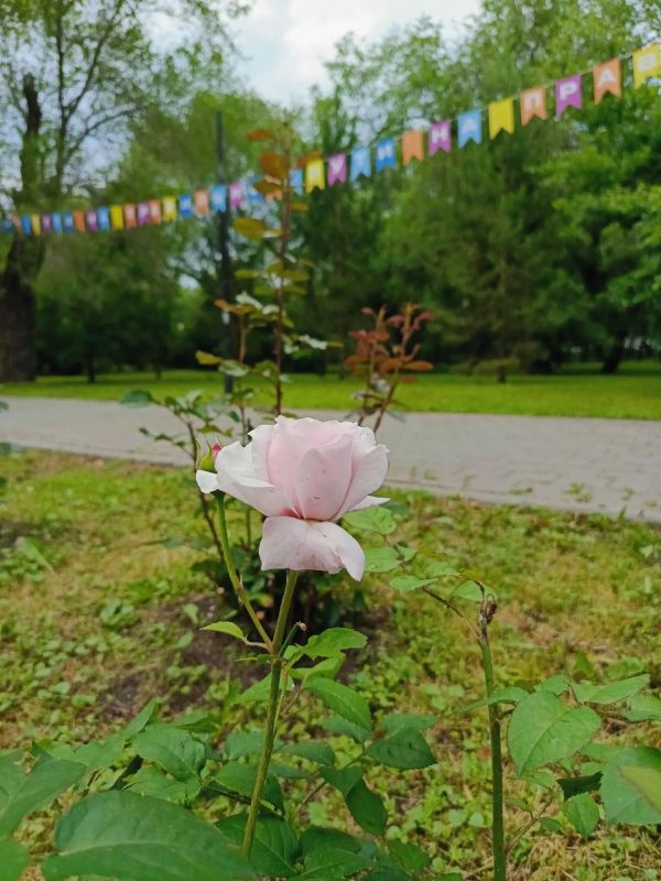 Комсомольский сквер готовится ко Дню города Комсомольский сквер готовится ко Дню города