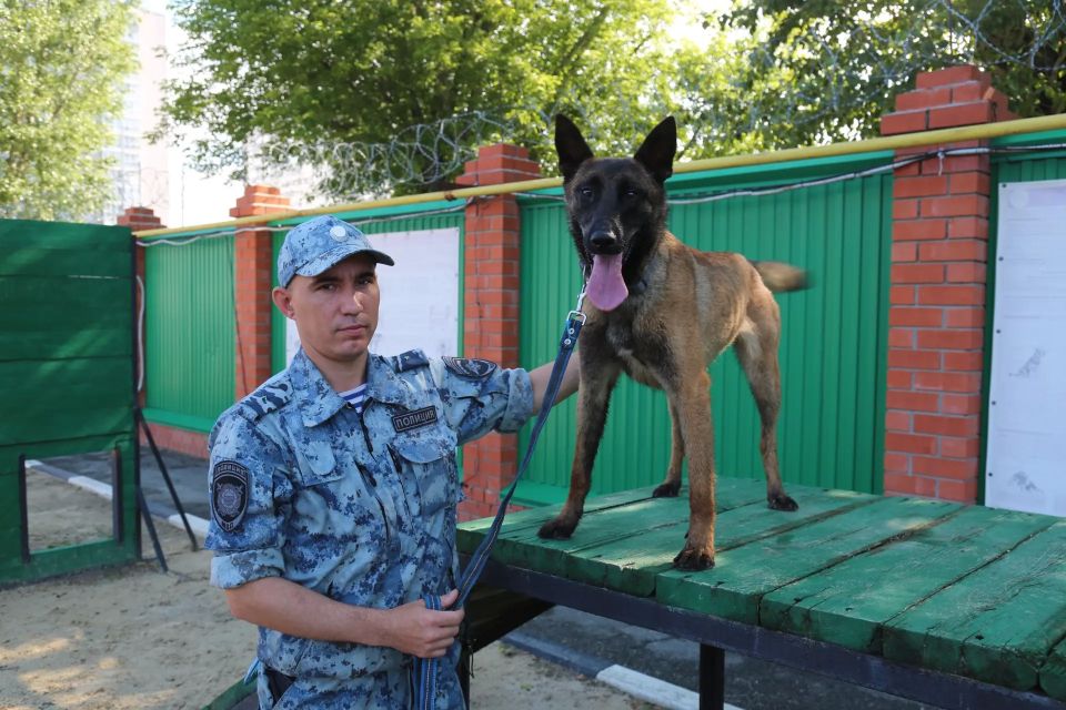 В ближайшее воскресенье, 21 июня, кинологические подразделения в системе МВД России отметят 117-ю годовщину со дня основания службы В ближайшее воскресенье, 21 июня, кинологические подразделения в системе МВД России отметят 117-ю годовщину со дня основания службы