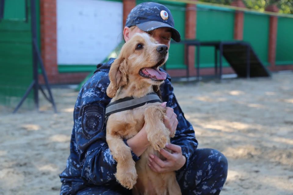 В ближайшее воскресенье, 21 июня, кинологические подразделения в системе МВД России отметят 117-ю годовщину со дня основания службы В ближайшее воскресенье, 21 июня, кинологические подразделения в системе МВД России отметят 117-ю годовщину со дня основания службы