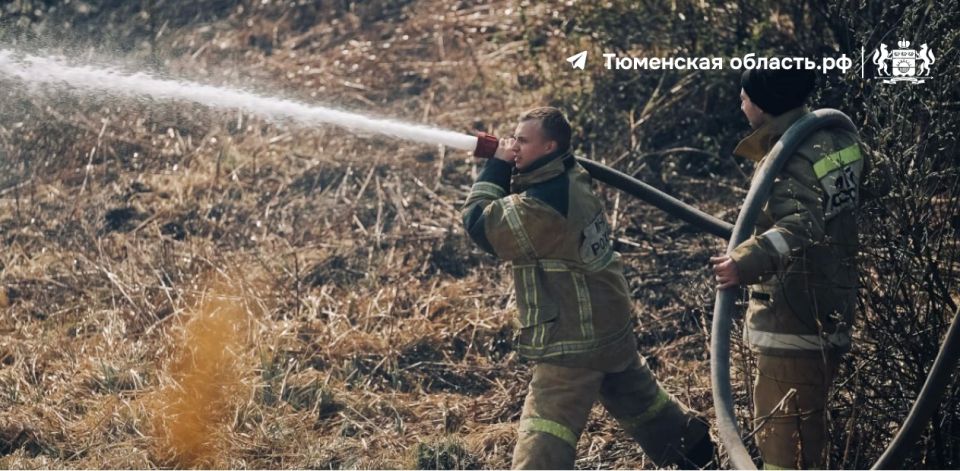 В Тюменской области потушили лесной пожар на площади 17 га