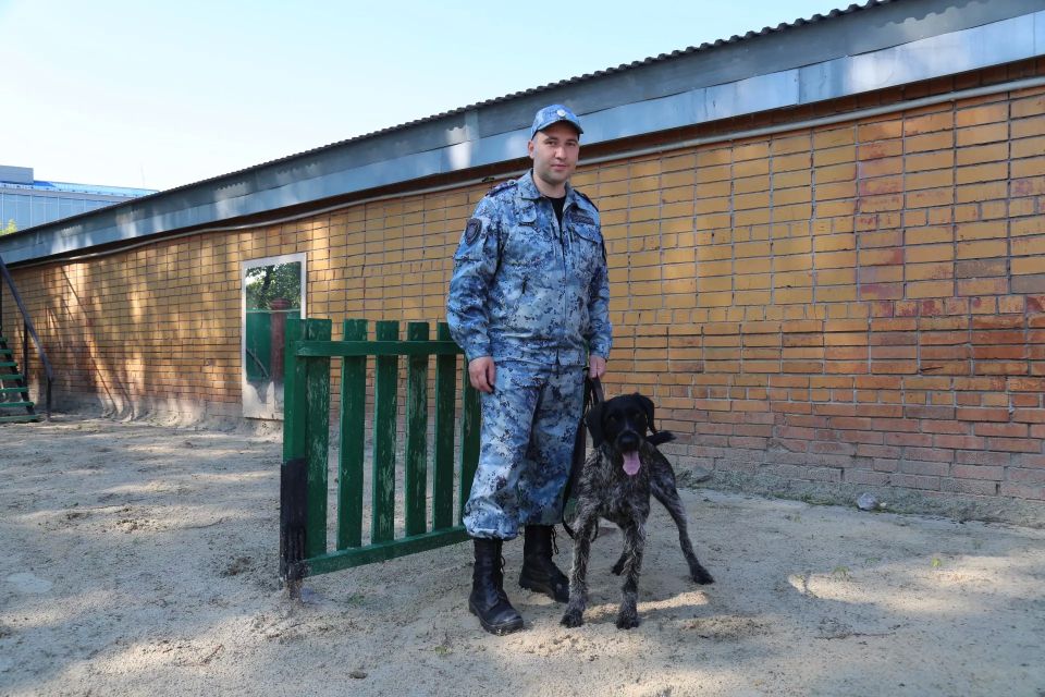 В ближайшее воскресенье, 21 июня, кинологические подразделения в системе МВД России отметят 117-ю годовщину со дня основания службы В ближайшее воскресенье, 21 июня, кинологические подразделения в системе МВД России отметят 117-ю годовщину со дня основания службы