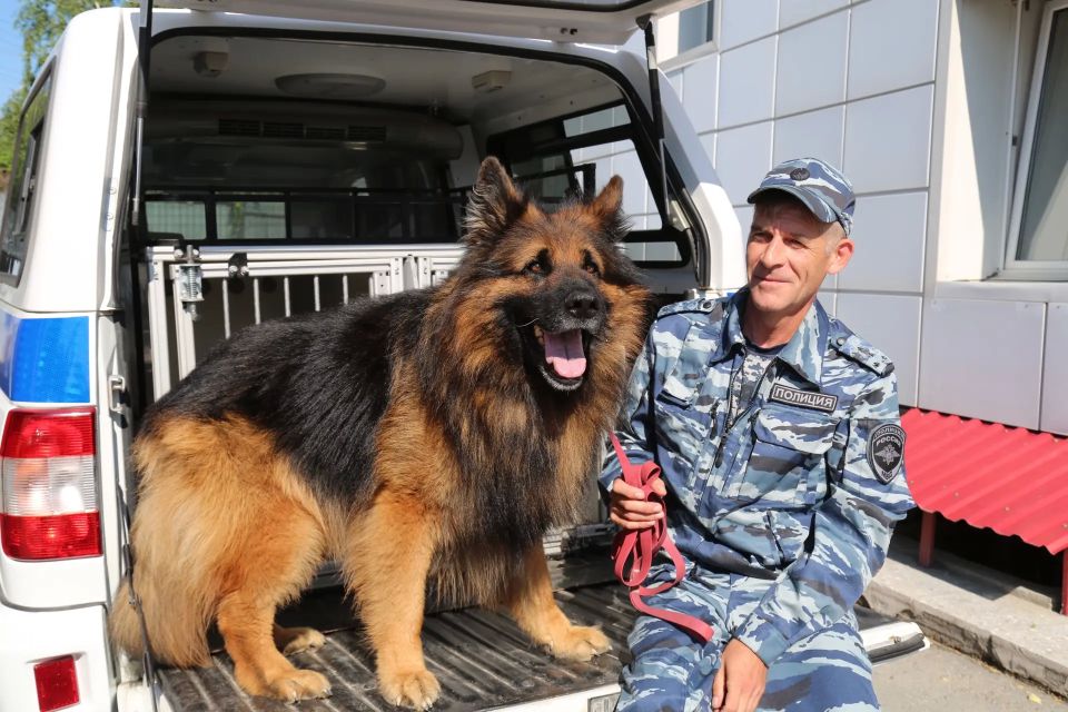 В ближайшее воскресенье, 21 июня, кинологические подразделения в системе МВД России отметят 117-ю годовщину со дня основания службы В ближайшее воскресенье, 21 июня, кинологические подразделения в системе МВД России отметят 117-ю годовщину со дня основания службы