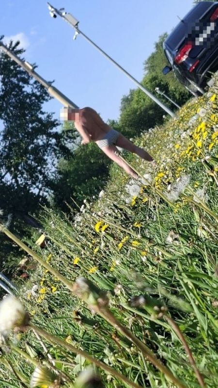 На скуфов в семейных трусах пожаловались мэру Тюмени На скуфов в семейных трусах пожаловались мэру Тюмени