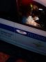 В Тюменском округе прошёл рейд по противодействию опасному вождению
