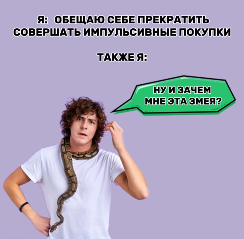 Шесть незаменимых кухонных приобретений, которые точно оправдают ожидания