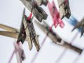 Когда природа замерзает, доброта цветет: как помочь птицам зимой