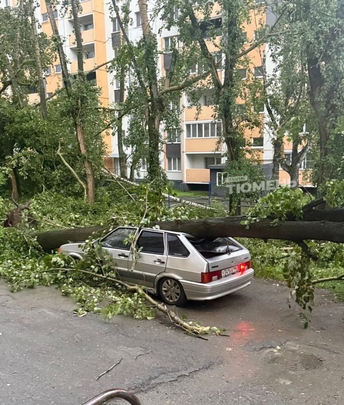 Жуткий смерч разнес населенный пункт Кушва в соседней Свердловской области Также ураган прогулялся по части Верхней Туры, поселка Баранчинский, сел Большая Лая и Малая Лая Жуткий смерч разнес населенный пункт Кушва в соседней Свердловской области Также ураган прогулялся по части Верхней Туры, поселка Баранчинский, сел Большая Лая и Малая Лая