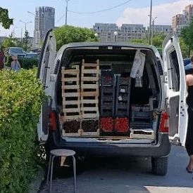 Торговля по правилам? Нет, без! Торговля по правилам? Нет, без!