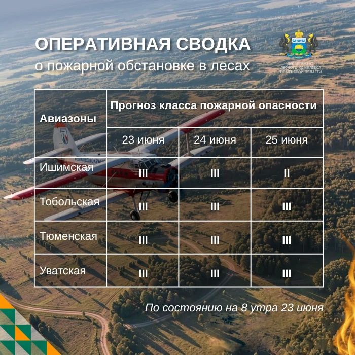 По данным региональной диспетчерской службы, на утро 23 июня в Тюменской области нет действующих лесных пожаров