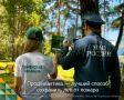 Профилактика — лучший способ сохранить лес от пожара