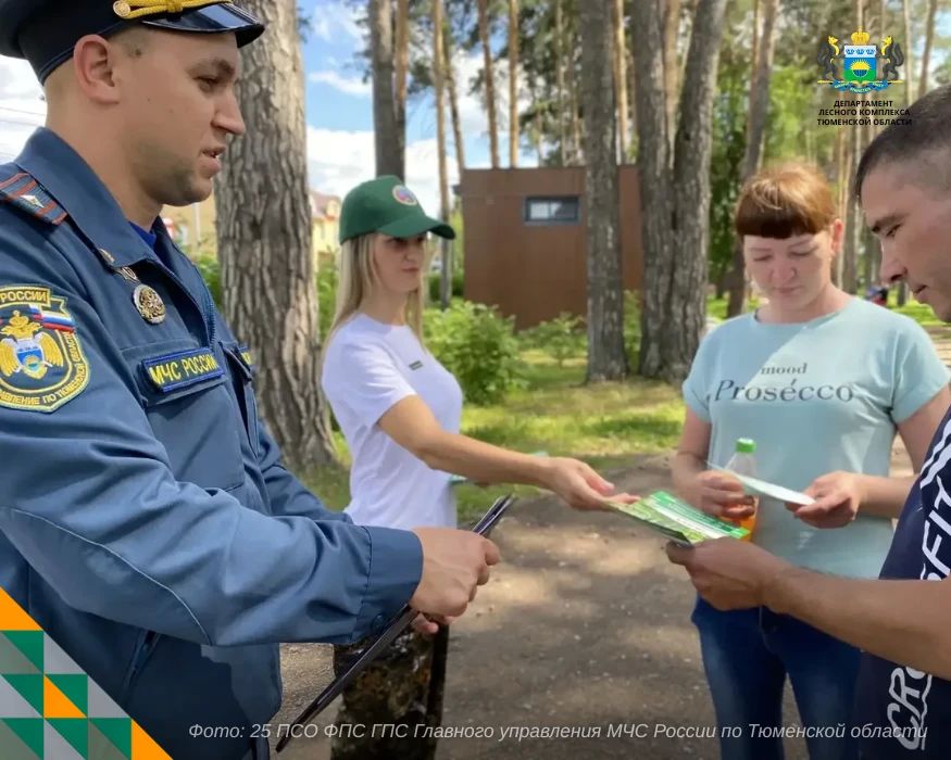 Профилактика — лучший способ сохранить лес от пожара Профилактика — лучший способ сохранить лес от пожара
