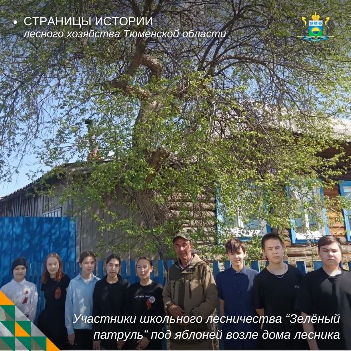 В Ярковском округе нашли старый яблоневый сад, созданный лесником-фронтовиком В Ярковском округе нашли старый яблоневый сад, созданный лесником-фронтовиком