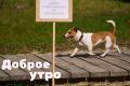 Доброе утро,Тюмень!. Вторник — это время для уверенных шагов вперёд
