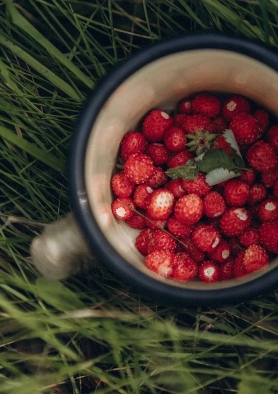 Когда аромат слышен через экран Вкусноты на утро вторничное от Чечулиной Дарины! Отличного дня Когда аромат слышен через экран Вкусноты на утро вторничное от Чечулиной Дарины! Отличного дня