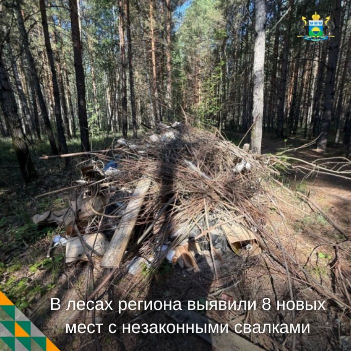 В лесах региона выявили новые места незаконных свалок