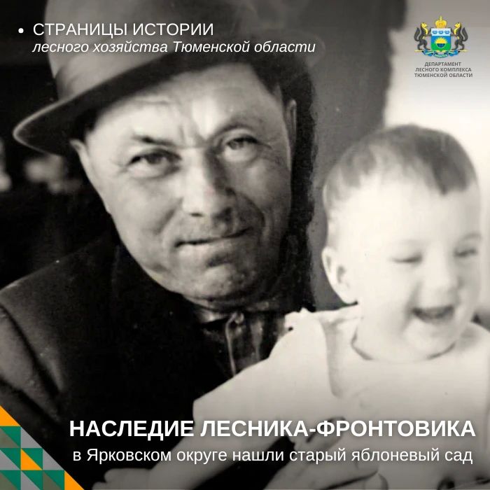 В Ярковском округе нашли старый яблоневый сад, созданный лесником-фронтовиком
