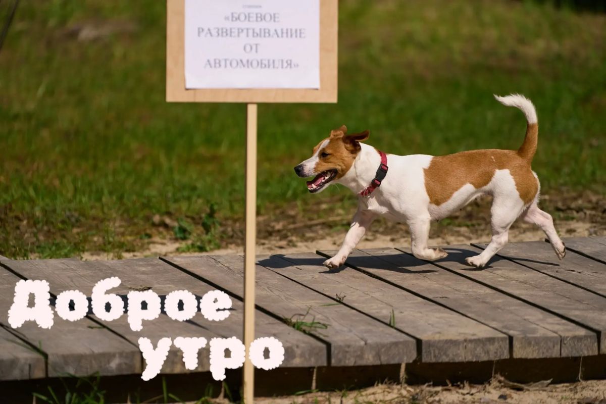 Доброе утро,Тюмень!. Вторник — это время для уверенных шагов вперёд