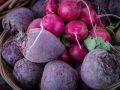 Почему редис может стать жестким и горьким?