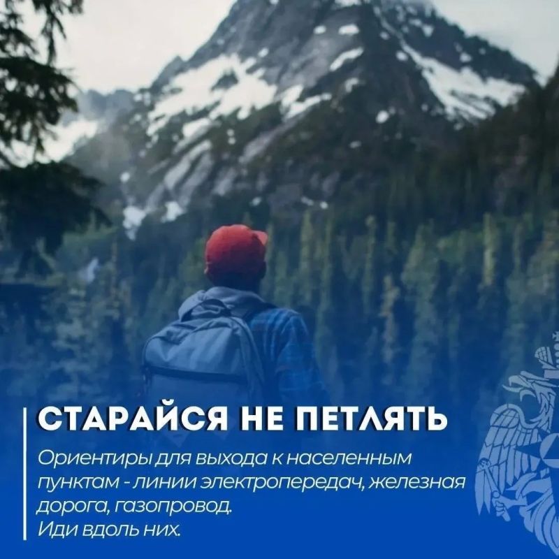 Безопасный поход. Читай в нашей памятке: что делать, если потерялся в лесу Безопасный поход. Читай в нашей памятке: что делать, если потерялся в лесу