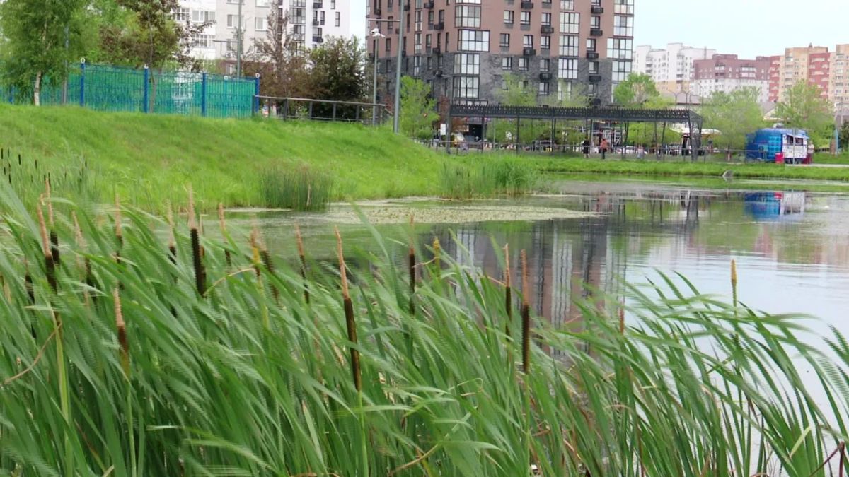 В регионе стартовала акция "Вода - безопасная территория" В регионе стартовала акция "Вода - безопасная территория"
