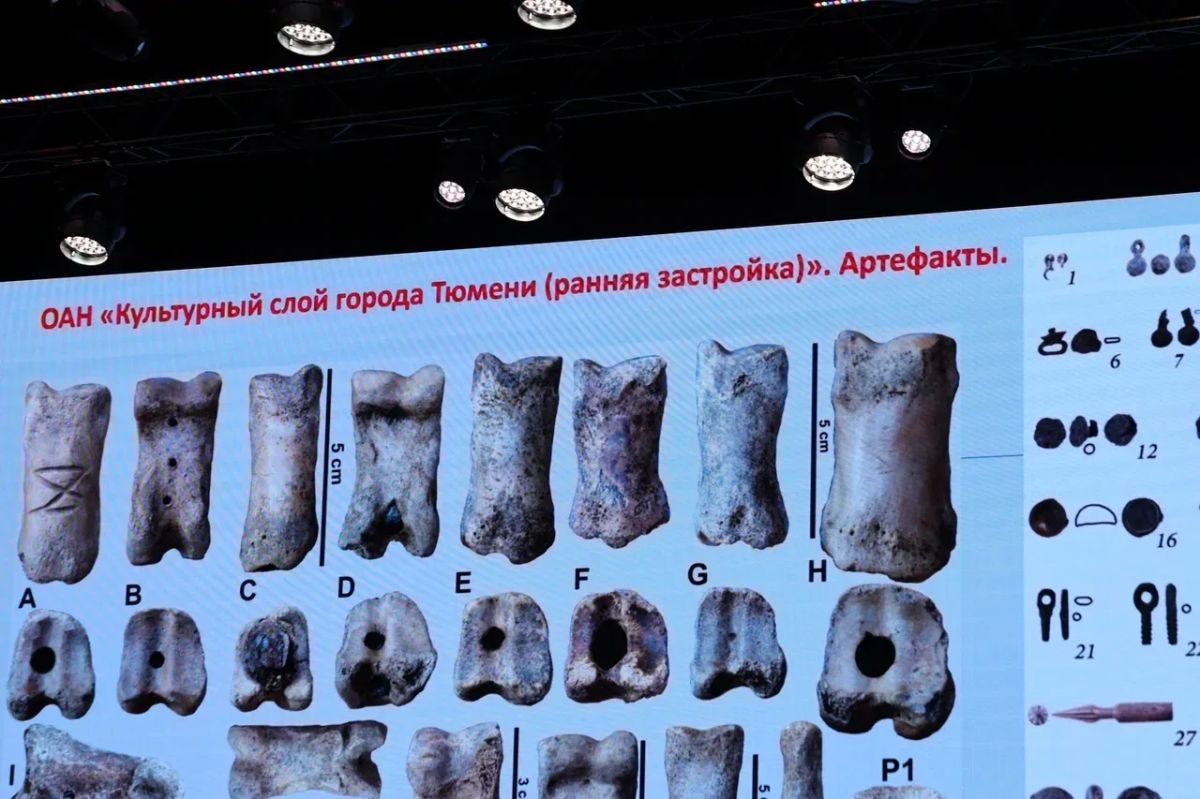 История под ногами. 440 лет Тюмени — это не только даты и имена, но и слои истории, буквально спрятанные под ногами История под ногами. 440 лет Тюмени — это не только даты и имена, но и слои истории, буквально спрятанные под ногами