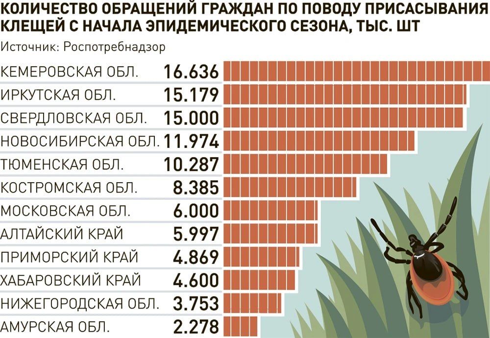 Более 10 тысяч жителей Тюменской области обратились в медучреждения по поводу присасывания клещей с начала сезона