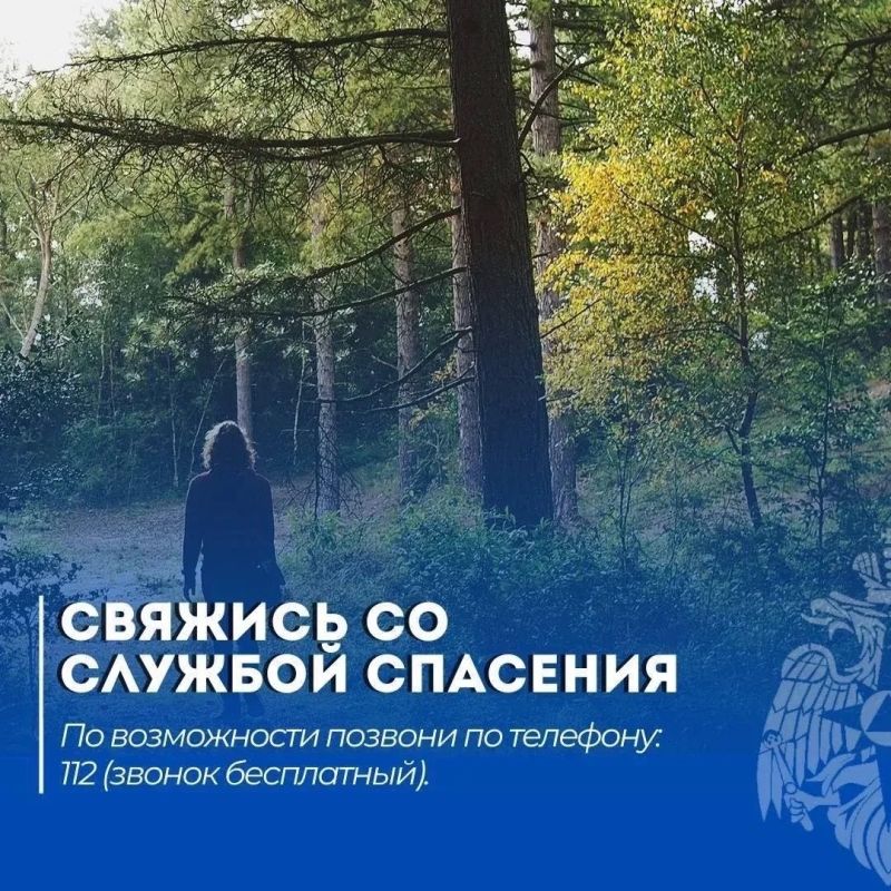Безопасный поход. Читай в нашей памятке: что делать, если потерялся в лесу Безопасный поход. Читай в нашей памятке: что делать, если потерялся в лесу