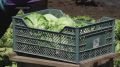 � ���������� ������ ������� ����� ������ �������� ������