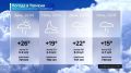 28 ���� ����� ������ �������� ������ ������� ���� ��������, ��������� � ��������, ������� ������������ � ������ �����