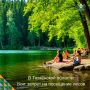 � 29 ���� ������ ������� ����� ����� �������� �������� ����