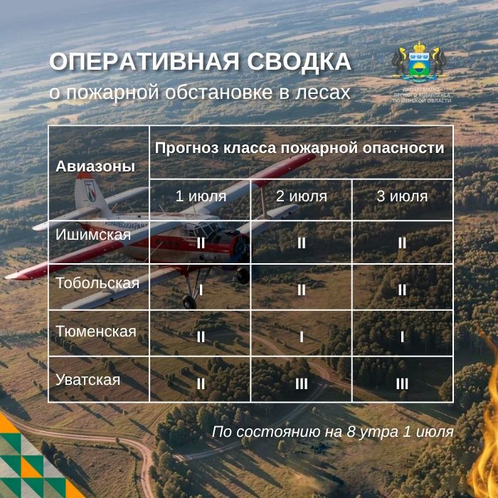 По данным региональной диспетчерской службы, на утро 1 июля в Тюменской области нет действующих лесных пожаров