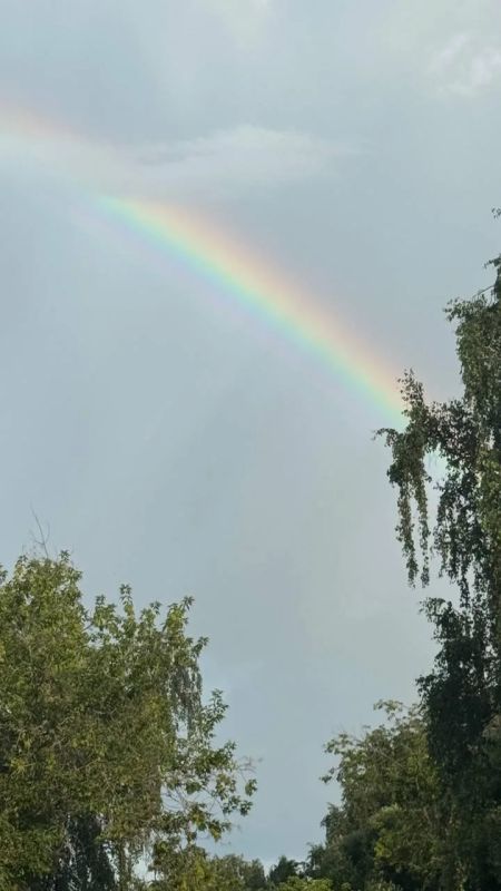 В центре города неожиданно появилась радуга В центре города неожиданно появилась радуга