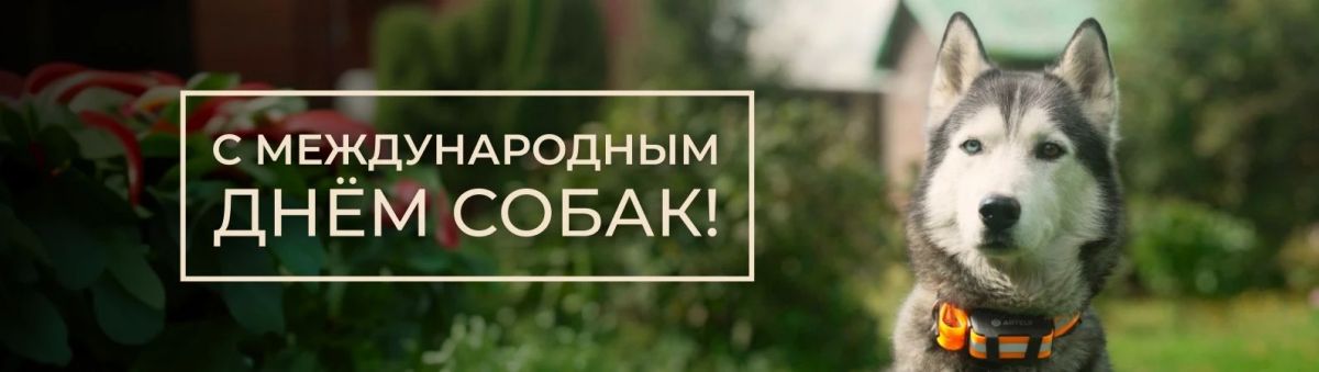 2 июля отмечается Международный день собак, учреждённый в 2012 году для чествования четвероногих друзей и привлечения внимания к проблеме бездомных животных
