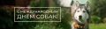 2 июля отмечается Международный день собак, учреждённый в 2012 году для чествования четвероногих друзей и привлечения внимания к проблеме бездомных животных