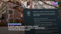 Более 30 работ поступило из Тюменской области на IX Всероссийский конкурс СМИ и социальных медиа «Созидание и развитие»