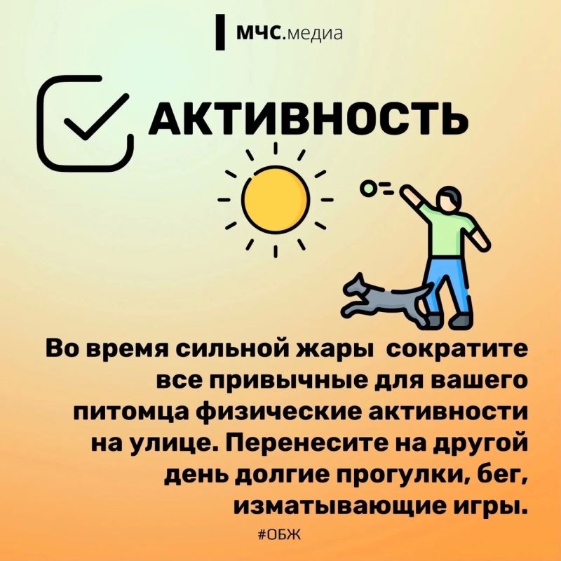 2 июля отмечается Международный день собак 2 июля отмечается Международный день собак