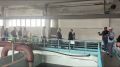 Школа в Березняках, модернизация Метелёвского водозабора и реконструкция площади Борцов Революции в Тюмени – эти и другие объекты сегодня осмотрели губернатор региона Александр Моор и глава города Максим Афанасьев
