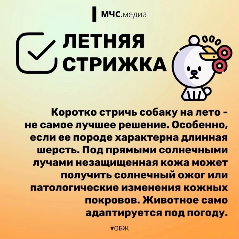 2 июля отмечается Международный день собак 2 июля отмечается Международный день собак