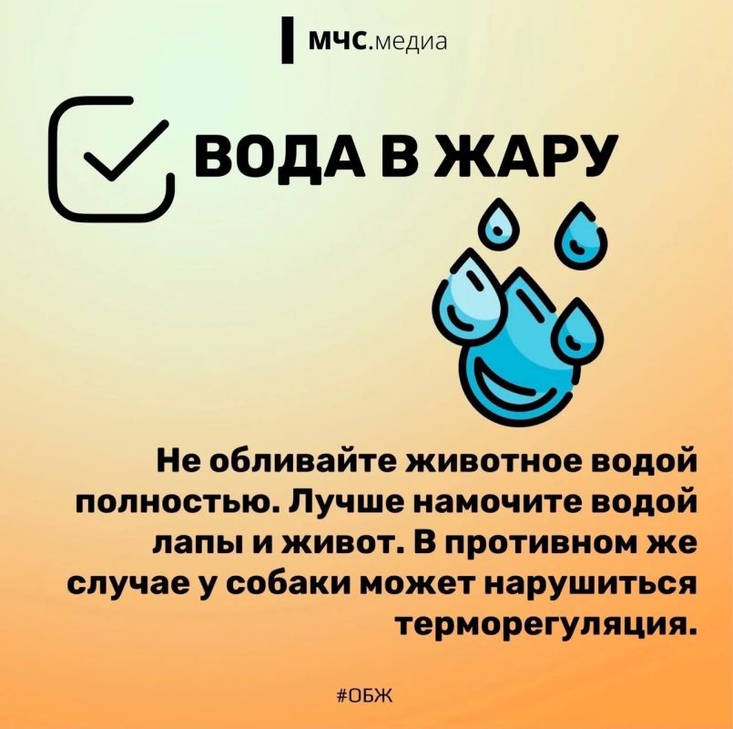 2 июля отмечается Международный день собак 2 июля отмечается Международный день собак