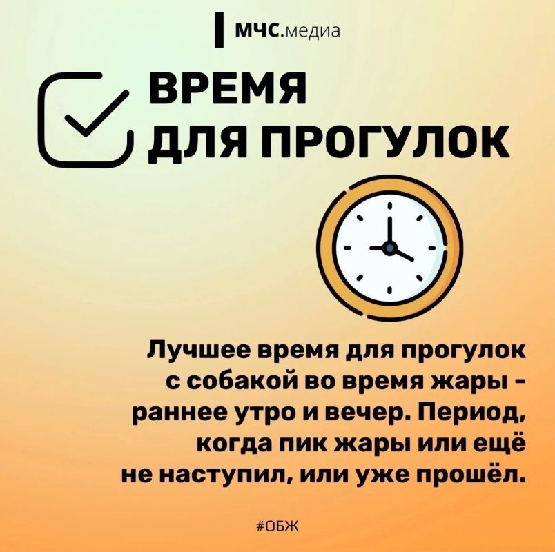 2 июля отмечается Международный день собак 2 июля отмечается Международный день собак