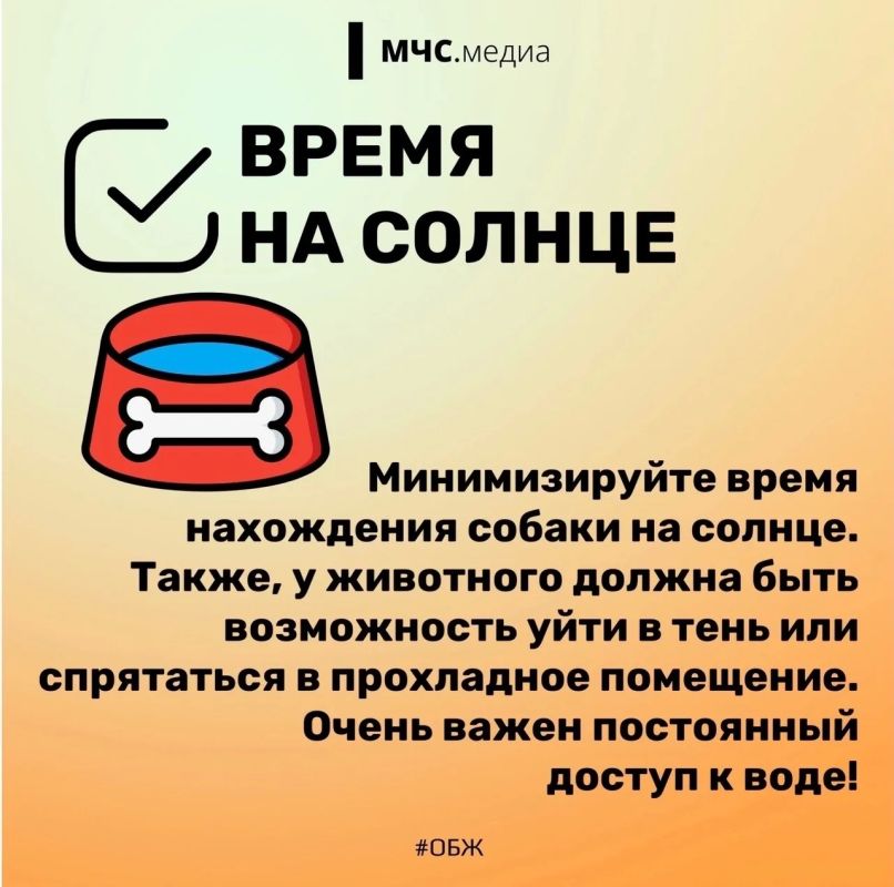 2 июля отмечается Международный день собак 2 июля отмечается Международный день собак