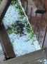 Ливень с крупным градом дошли до Казанского района